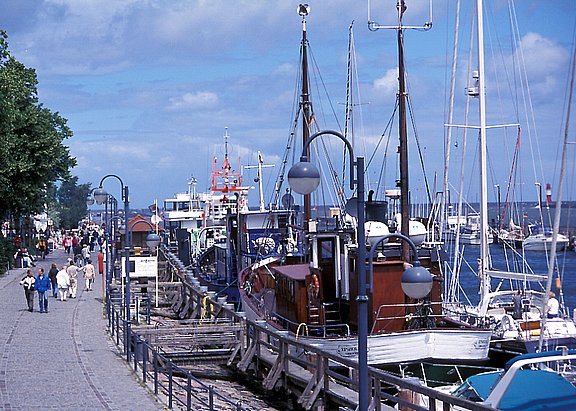 picture-0011