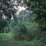 picture-0006