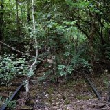 2008 - fast hat es die Natur geschafft