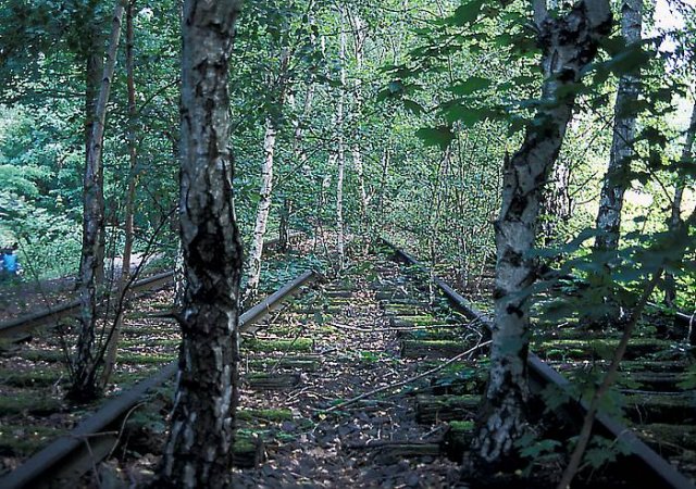 2002 - Die Natur ist auf dem richtigen Weg